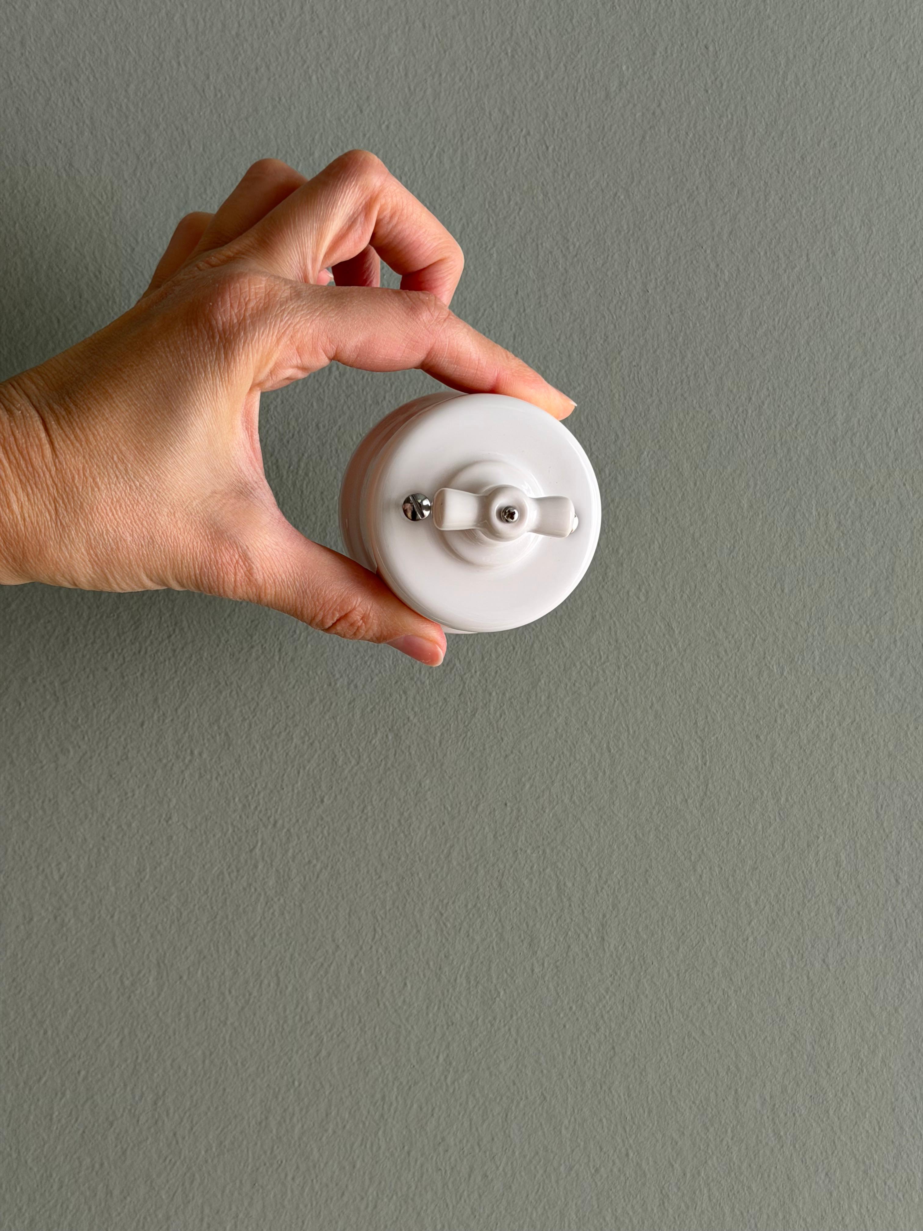porcelain light switch