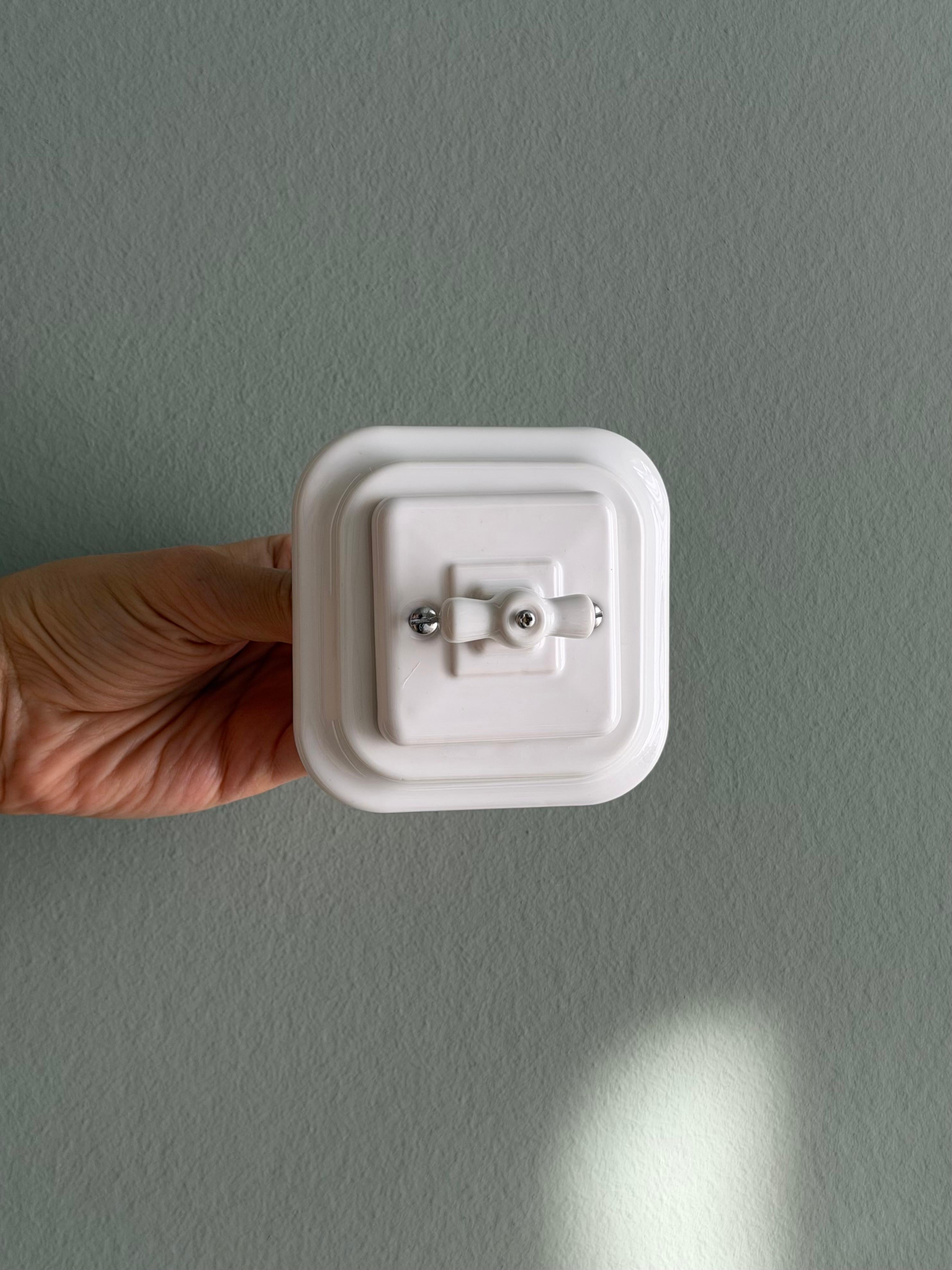 porcelain  light switch